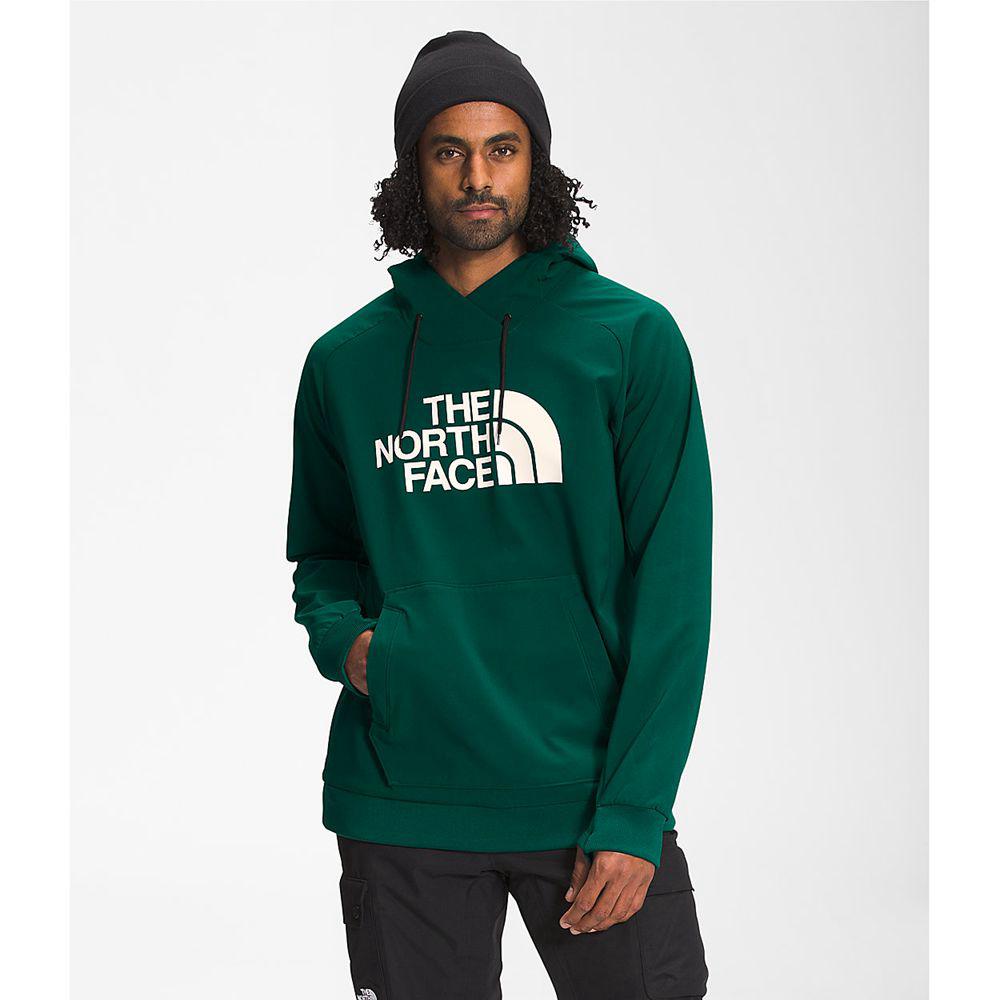 The North Face Tekno Logo Ανδρικα Φούτερ Hoodie - Πρασινο (LNVG72689)